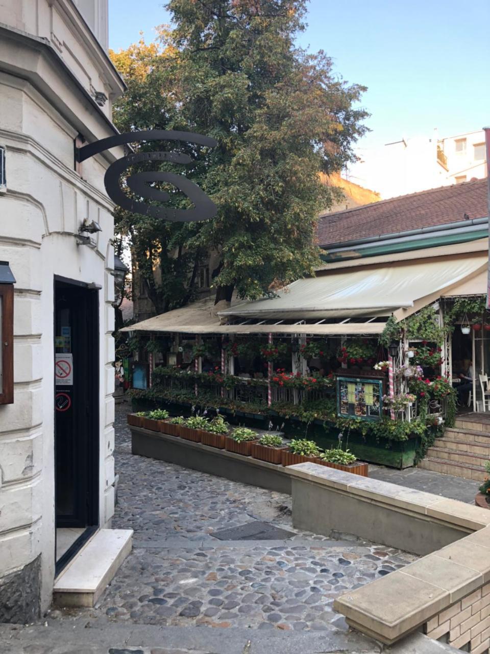 Apartment Skadarlija Free Parking Belgrad Exteriör bild